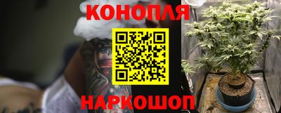 гидра Рыбинск