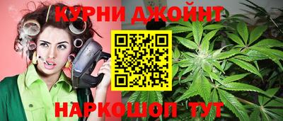 apvp Свободный