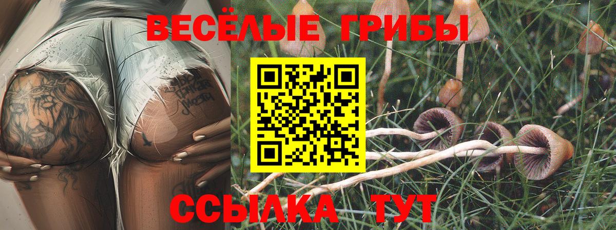 Псилоцибиновые грибы ЛСД  Вход с VPN  Сокол  Псилоцибиновые грибы MAGIC MUSHROOMS 